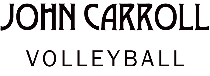 Wordmark — On Light